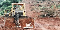 Are European taxpayers funding land grabs and forest destruction?-image