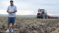  Karuturi pide indemnización a Etiopía por un negocio sobre tierras fallido-image