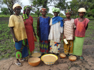 6ème édition de la Foire Ouest Africaine de Semences Paysannes-image