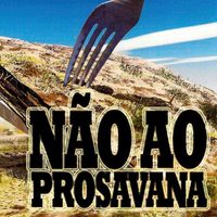 III Conferência triangular dos povos: Em declaração, povos afirmam não ao ProSAVANA-image