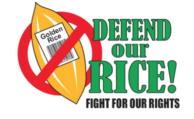 Farmer groups hit PhilRice for renewed push to field and feed test Golden Rice-image