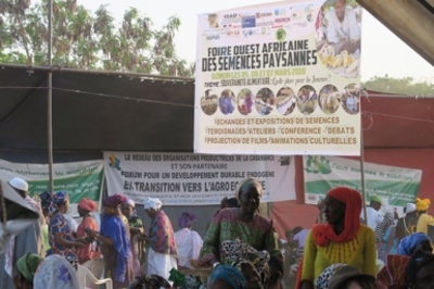 Communiqué des participant-­e-­s à la 6ème édition de la foire ouest africaine des semences paysannes à Djimini-image
