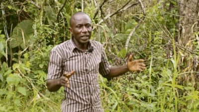 La sécurité d’Emmanuel Elong-image