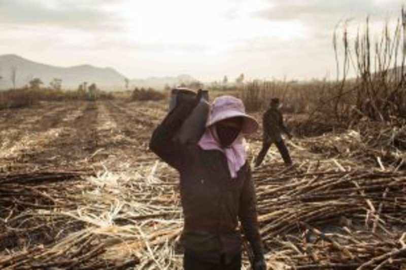 Grain Anz Bank Issued Rare Rebuke By Australian Oversight Body