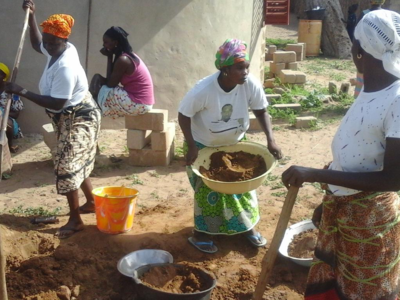Recherche paysanne au Sénégal  sur la sauvegarde des variétés du mil-image