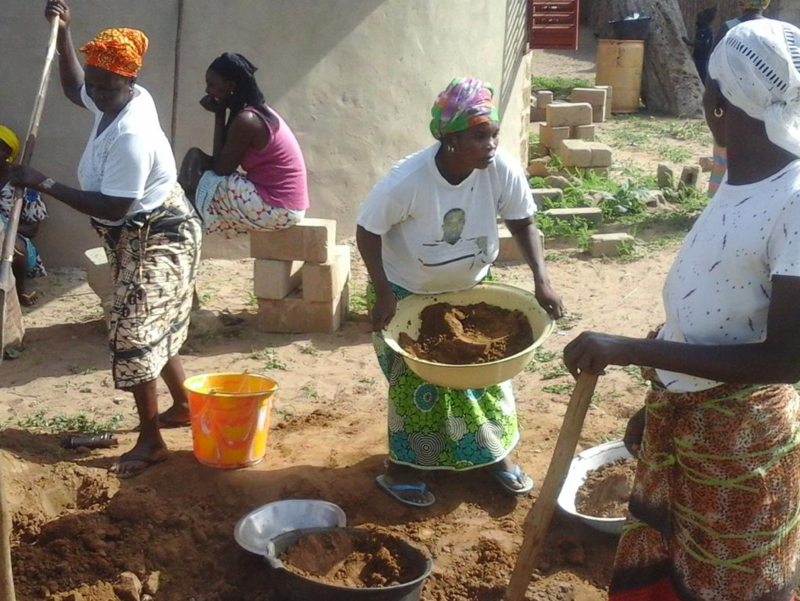 Semences de piment : des variétés adaptées à l'Afrique de l'Ouest