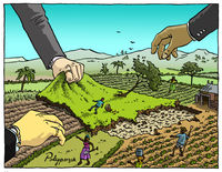 Main basse sur les terres agricoles en pleine crise alimentaire et financière-image
