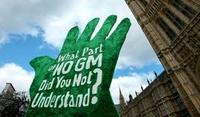 Twelve reasons for Africa to reject GM crops-image