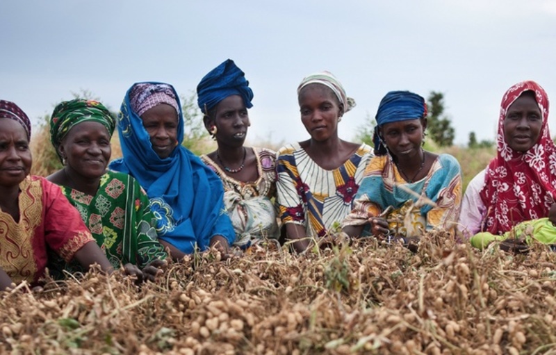 Indigenous farmers organize to protect maize from climate crisis