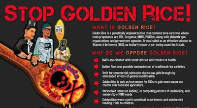 Asia farmers' network resounds strong call to Stop Golden Rice!-image