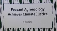 Les rapports de La Via Campesina sur la justice climatique et l'agroécologie en Afrique-image