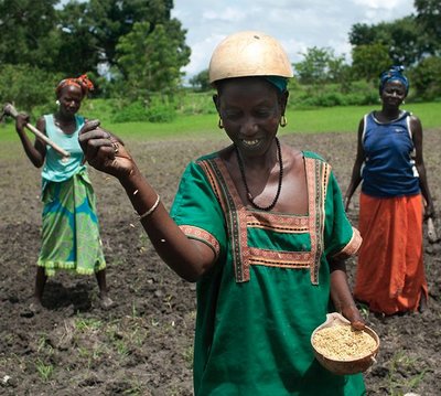 Les vrais producteurs de semences : Les petits producteurs sauvegardent, utilisent, partagent et améliorent la diversité semencière des cultures qui nourrissent l'Afrique-image