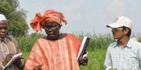 GMO cotton failure in Burkina Faso: Farmers speak out-image