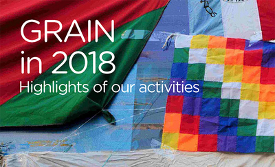 GRAIN's 2018 activity report-image