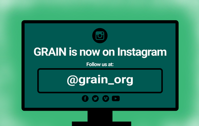 Find GRAIN on Instagram!-image
