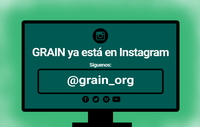 GRAIN abre cuenta en Instagram-image
