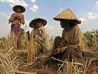 RCEP trade deal will intensify land grabbing in Asia-image
