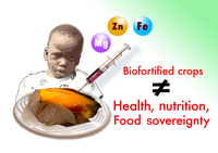 What's wrong with biofortified crops? The fight for genuine solutions to malnutrition is on-image