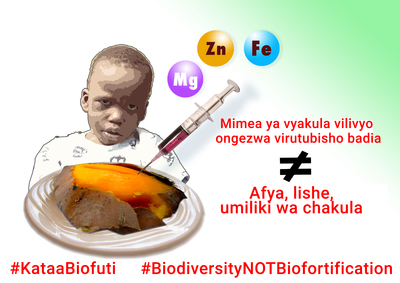 Mazao biofuti (biofortification) au bionuwai (biodiversity)?-image