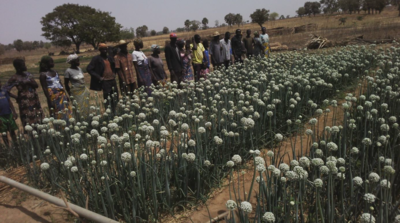 Mémorandum exprimant la réaction des organisations paysannes et leurs alliés au sujet de la réunion des représentants des acteurs de l'industrie semencière en Afrique de l'Ouest à Dakar, 11 - 12 juin 2019, de 16 pays d’Afrique de l’Ouest et le Tchad -image