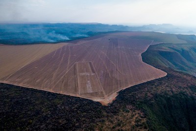 Fazendas griladas pelos fundos de Havard e TIAA no Cerrado  em chamas-image
