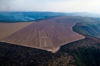 El acaparamiento de tierras agrícolas de Harvard y TIAA en Brasil se hace humo-image
