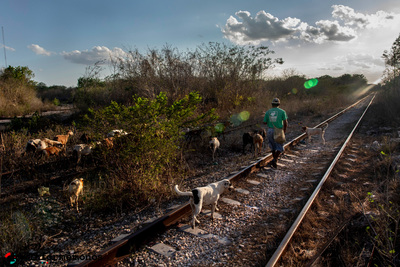 El mal llamado Tren Maya : Acaparamiento multimodal de territorios-image