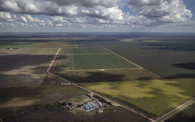 Fish farming corporations make a lame attempt to solve their big deforestation problem-image
