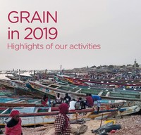 GRAIN's 2019 activity report-image