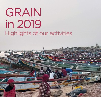 GRAIN's 2019 activity report-image