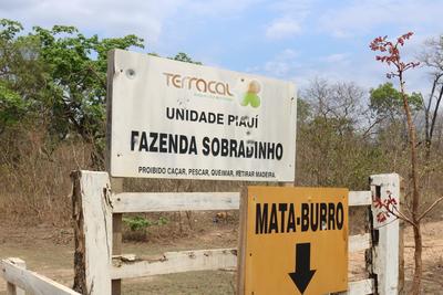 L’accaparement des terres agricoles brésiliennes par Harvard est un désastre pour les communautés et un avertissement aux spéculateurs-image