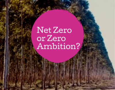 Roll up, roll up! The Net Zero Circus is coming to a forest near you-image