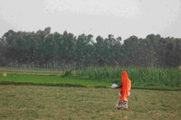 Agroecología vs caos climático: en Asia campesinas y campesinos encabezan la batalla-image