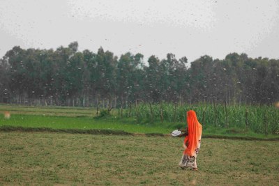 L’agroécologie face au chaos climatique : des agricultrices et agriculteurs mènent la charge en Asie-image