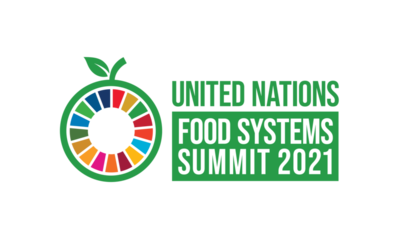 The UN Food Systems Summit: How Not to Respond to the Urgency of Reform-image