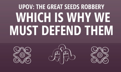Booklet | UPOV: the great seeds robbery-image