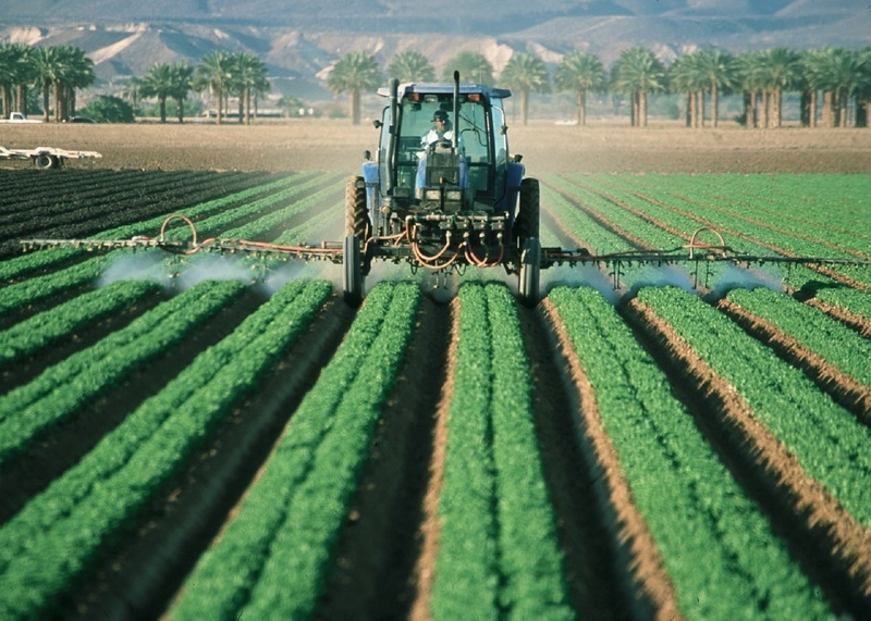 El estado mundial de la agricultura y la alimentación 2021: Lograr