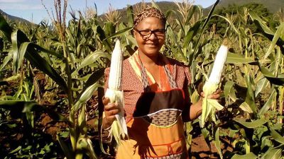 African faith communities tell Gates Foundation, “Big farming is no solution for Africa”-image