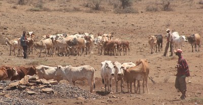 Livestock and climate: the problem is the industrial system-image