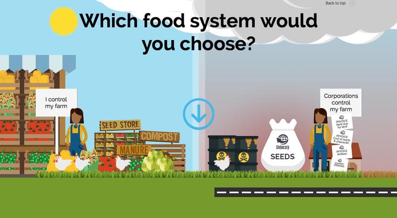GRAIN FAO Says Food Responsible For 31 Of All Greenhouse Gas 