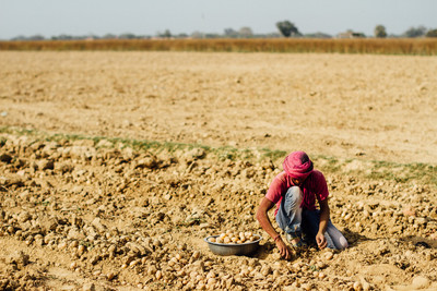 PEPSICO's attempt to criminalise potato farmers in India gets revoked-image
