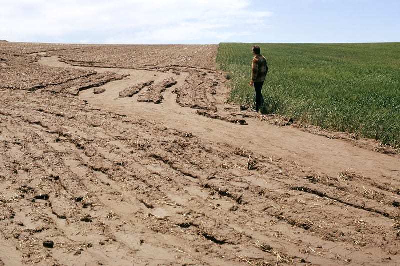 GRAIN  From land grab to soil grab - the new business of carbon