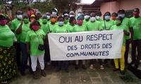 Affaire Bolloré : victoire des associations confirmée dans le dossier de l’huile de palme camerounaise-image