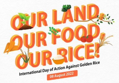 Golden Rice and the push for GMOs won’t solve food crisis, it will make it worse-image