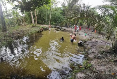 Da Ásia à África: tentáculos de plantações de dendezeiros estão espremendo comunidades até que fiquem secas-image