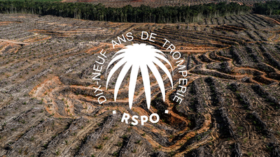 Table ronde sur l'huile de palme durable : 19 ans, ça suffit-image