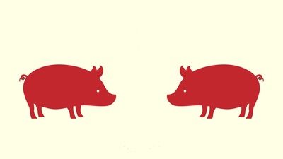 La cuestionable estrategia de China y Vietnam para controlar la pandemia de los cerdos en Asia-image