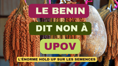 Pourquoi le Bénin ne devrait pas adhérer à l'UPOV-image
