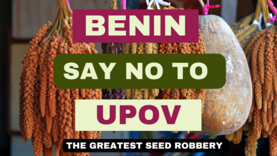Por qué Benín no debiera ingresar a UPOV-image