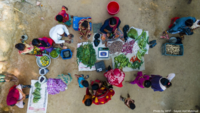 Tackling the climate crisis by addressing food consumption-image